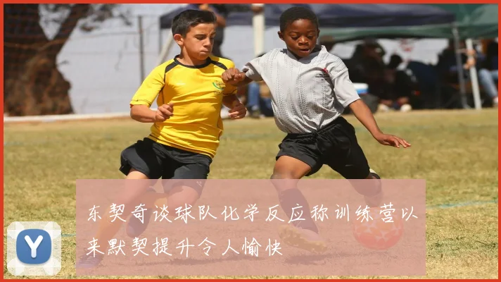 东契奇谈球队化学反应称训练营以来默契提升令人愉快