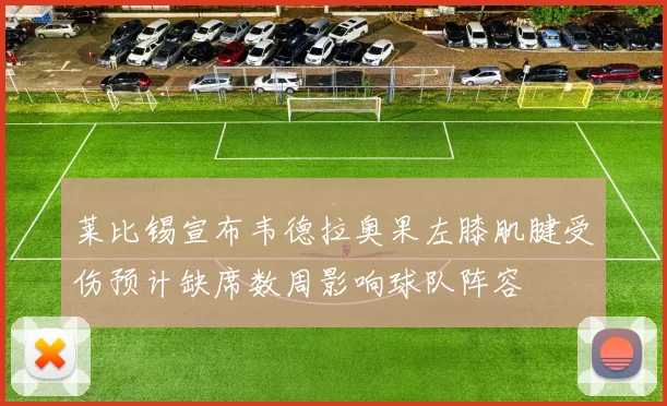 莱比锡宣布韦德拉奥果左膝肌腱受伤预计缺席数周影响球队阵容
