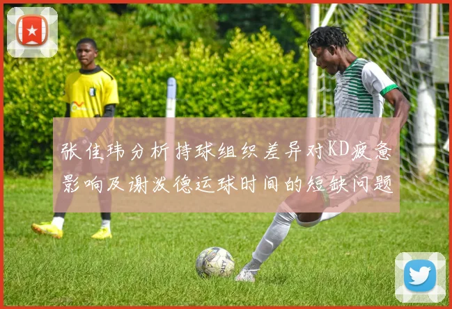 张佳玮分析持球组织差异对KD疲惫影响及谢泼德运球时间的短缺问题