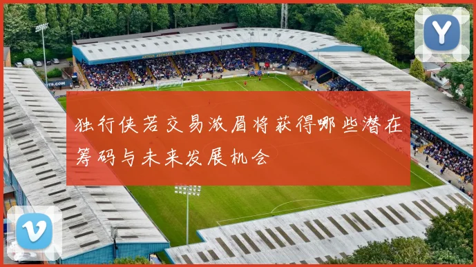 独行侠若交易浓眉将获得哪些潜在筹码与未来发展机会